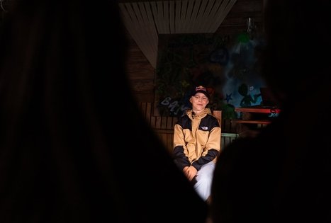 Vilijos Čepulienės sodyba