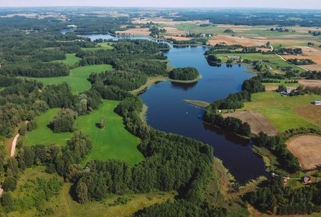 Miško Takas 51. Lazdijai – Veisiejai.