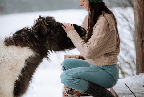 Sodyba „Alantos žirgai“