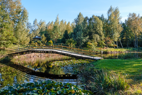 Sodyba „Pas Algirdą“