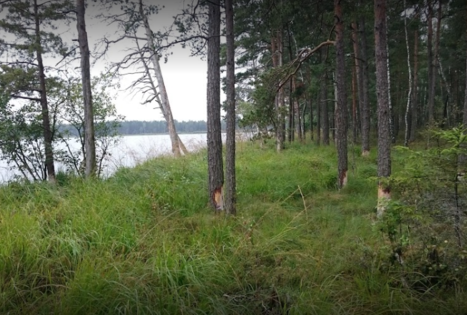 Alionių telmologinis draustinis