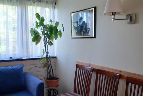 Sodyba „Altonė“