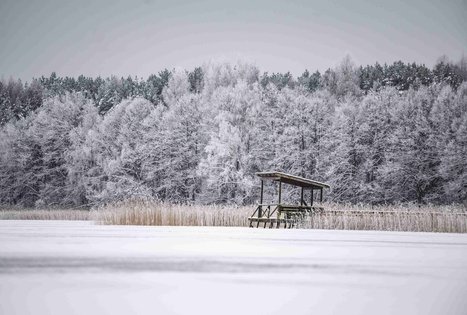 Miško Takas 51. Lazdijai – Veisiejai.