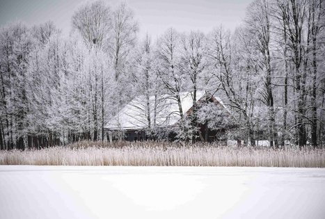 Miško Takas 51. Lazdijai – Veisiejai.