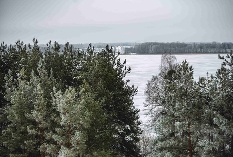 Miško Takas 51. Lazdijai – Veisiejai.