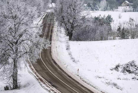 Miško Takas 51. Lazdijai – Veisiejai.
