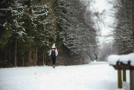Miško Takas 52. Veisiejai – Trikojis.