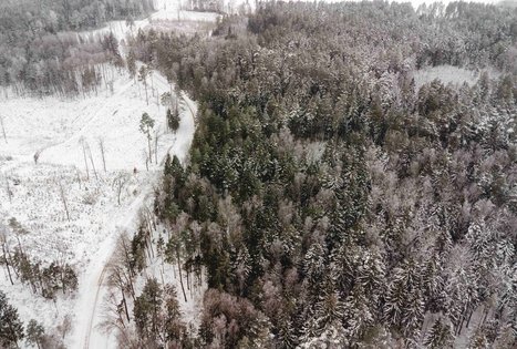 Miško Takas 52. Veisiejai – Trikojis.