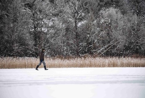 Miško Takas 52. Veisiejai – Trikojis.