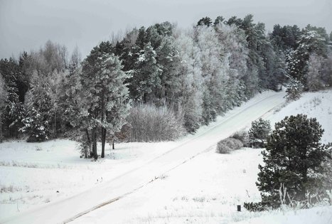 Miško Takas 52. Veisiejai – Trikojis.