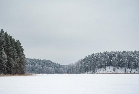 Miško Takas 53. Trikojis – Didžiasalis.