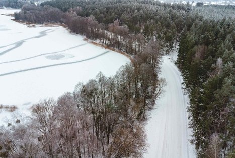 Miško Takas 53. Trikojis – Didžiasalis.