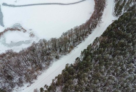 Miško Takas 53. Trikojis – Didžiasalis.