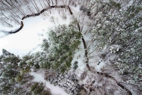 Miško Takas 53. Trikojis – Didžiasalis.