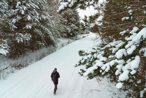 Miško Takas 53. Trikojis – Didžiasalis.