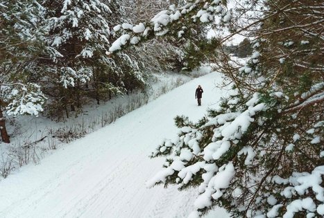 Miško Takas 53. Trikojis – Didžiasalis.