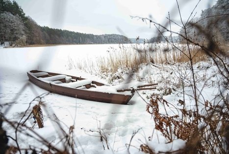 Miško Takas 53. Trikojis – Didžiasalis.