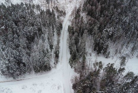 Miško Takas 54. Didžiasalis – Druskininkai – Žiogeliai.
