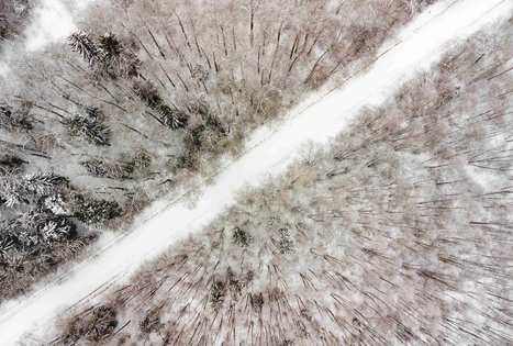 Miško Takas 54. Didžiasalis – Druskininkai – Žiogeliai.