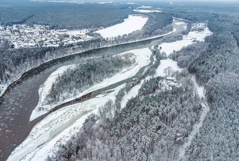 Miško Takas 54. Didžiasalis – Druskininkai – Žiogeliai.