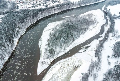 Miško Takas 54. Didžiasalis – Druskininkai – Žiogeliai.