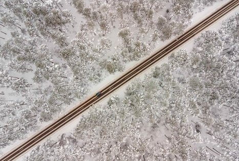 Miško Takas 54. Didžiasalis – Druskininkai – Žiogeliai.