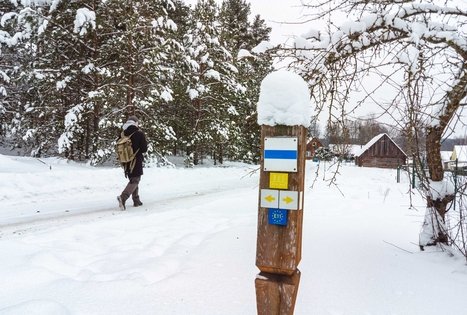 Miško Takas 55. Žiogeliai – Merkinė.