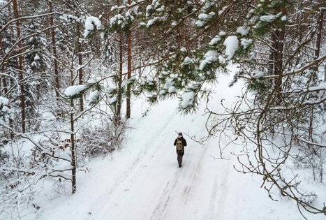 Miško Takas 55. Žiogeliai – Merkinė.