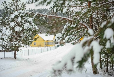 Miško Takas 55. Žiogeliai – Merkinė.