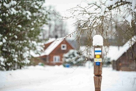 Miško Takas 55. Žiogeliai – Merkinė.