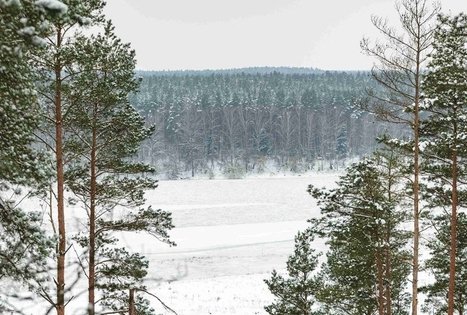 Miško Takas 56. Merkinė – Nemunaitis.