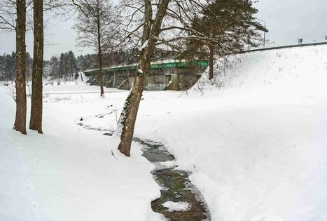 Miško Takas 56. Merkinė – Nemunaitis.