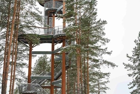 Miško Takas 56. Merkinė – Nemunaitis.