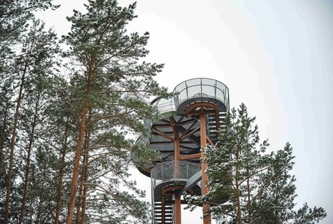 Miško Takas 56. Merkinė – Nemunaitis.