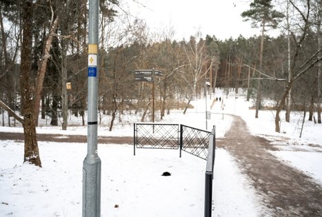 Miško Takas 57. Nemunaitis – Alytus.