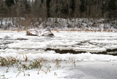 Miško Takas 57. Nemunaitis – Alytus.