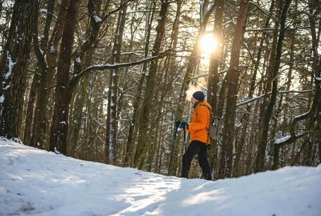 Miško Takas 51. Lazdijai – Veisiejai.