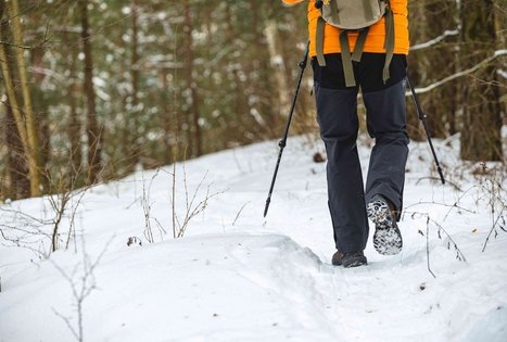 Miško Takas 51. Lazdijai – Veisiejai.
