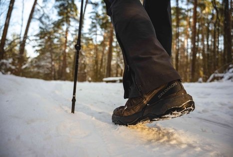 Miško Takas 52. Veisiejai – Trikojis.