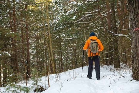 Miško Takas 52. Veisiejai – Trikojis.