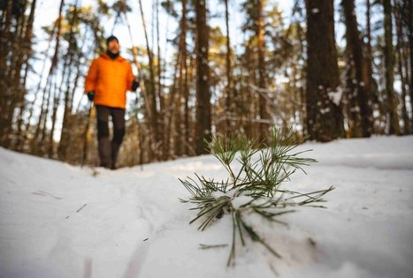 Miško Takas 58. Alytus – Panemunis.