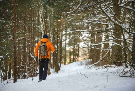 Miško Takas 51. Lazdijai – Veisiejai.