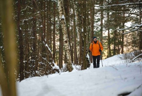 Miško Takas 53. Trikojis – Didžiasalis.