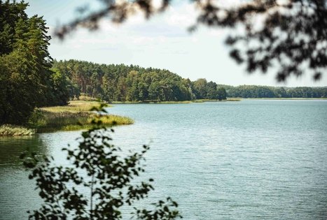 Miško Takas 52. Veisiejai – Trikojis.