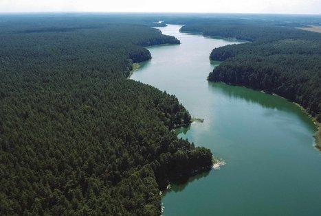 Miško Takas 52. Veisiejai – Trikojis.