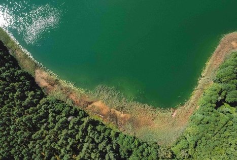 Miško Takas 52. Veisiejai – Trikojis.