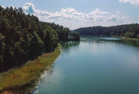 Miško Takas 52. Veisiejai – Trikojis.