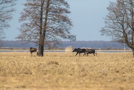 Eko turas su elektrobusu