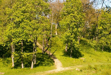 Apuolės piliakalnis