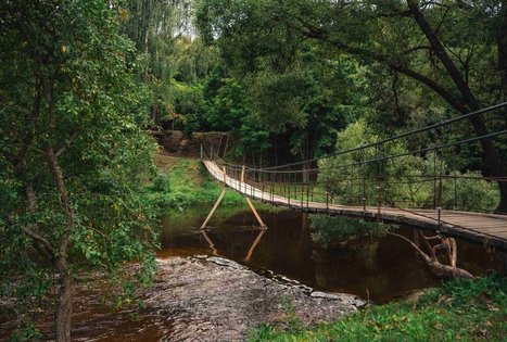 Miško Takas 69. Kirkšnovė – Kaulakiai.